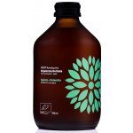 Natu Kombucha bio probiotický nápoj Cucumber & Coriander 315 ml – Zboží Dáma Natu Kombucha bio probiotický nápoj Cucumber & Coriander 315 ml – Zboží Dáma