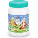 Everest Ayurveda Ajurvédský bylinný elixír Chyawanprash 300 g – Hledejceny.cz