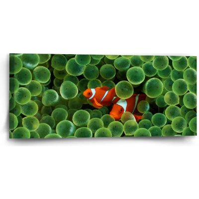 Sablio Obraz Klaun očkatý - 110x50 cm – Hledejceny.cz