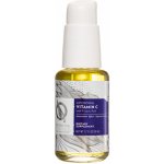 Quicksilver Scientific Liposomální vitamín C s kyselinou R-lipoovou 50 ml – Hledejceny.cz
