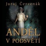 Anjel v podsvetí – Hledejceny.cz