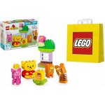 LEGO® DUPLO® Disney 10457 Narozeninová oslava Medvídka Pú – Zboží Živě