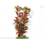 Hagen rostlina Red Ludwigia 20 cm – Zboží Mobilmania