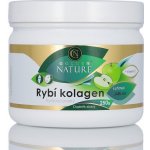 Golden Nature Rybí kolagen + vitamín C jablko 250 g – Hledejceny.cz
