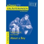 Interpretation zu Nick Hornby About a Boy – Sleviste.cz