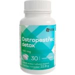 VIX Ostropestřec Detox 30 tablet – Hledejceny.cz