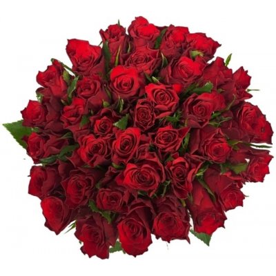 Kytice 35 červených růží INFRARED 50 cm – Zboží Dáma