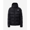 Dámská bunda The North Face W Diablo Down Hoodie