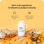 Vilgain Immunity Booster 90 kapslí – Hledejceny.cz