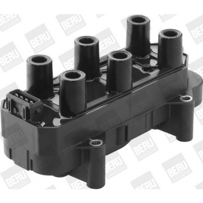 Zapalovací cívka BorgWarner (BERU) ZS451 – Hledejceny.cz