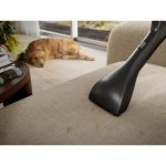 Electrolux 800 Animal EB81A3UG – Zboží Dáma