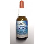 4betterlife tinktura KXS 20 ml – Hledejceny.cz