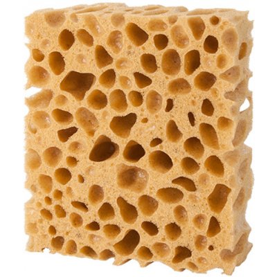 Pedag MOŘSKÁ HOUBA k čištění všech druhů materiálů – Hledejceny.cz