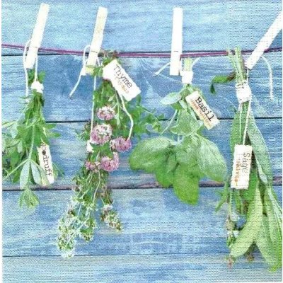 Ppd GmbH GTIN: Ubrousek 33x33cm Sušíme bylinky – Hledejceny.cz
