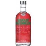 Absolut Watermelon 38% 0,7 l (holá láhev) – Zboží Dáma