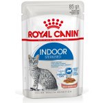 Royal Canin Indoor Sterilised v omáčce 12 x 85 g – Hledejceny.cz