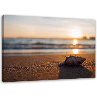 Obraz na plátně Mušle Pláž Mořský písek - 100x70 cm – Zboží Mobilmania