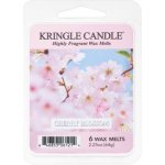Kringle Candle vosk do aromalampy Cherry Blossom 64 g – Hledejceny.cz