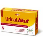 Walmark Idelyn Urinal Akut 10 tablet – Zbozi.Blesk.cz