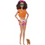 Barbie SURFAŘKA S DOPLŇKY – Hledejceny.cz