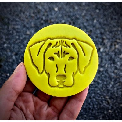 TVOŘÍTKO Rhodéský ridgeback II - razítko Rozměr: 7 cm, + Vykrajovátko: Ano – Hledejceny.cz