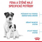 Royal Canin Starter Mother&Babydog Mini 8,5 kg – Zboží Mobilmania