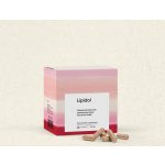 Energy Lipidol 90 kapslí – Hledejceny.cz
