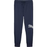 Puma pánské tepláky Train All Day Big CAT pant Tmavě modré – Sleviste.cz