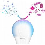Osram Antibakteriální LED žárovka E14 5,5W neutrální bílá svíčka – Zboží Živě