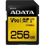 ADATA SDXC 128 GB UHS-I U1 ASDX256GUII3CL10-C – Zboží Živě