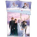 Jerry Fabrics Ledové Království elements 100 x 135 cm 40 x 60 cm – Sleviste.cz