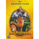 Divočina DVD