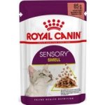 Royal Canin Sensory Smell gravy 12 x 85 g – Hledejceny.cz
