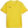 Fotbalový dres Puma teamGOAL Matchday Jersey dres 705748-07