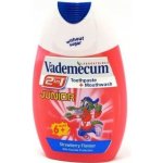 Vademecum 2v1 Junior kombinace zubní pasty a ÚV Jahoda 75 ml – Hledejceny.cz