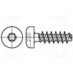 BOSSARD 3060240 Vrut; pro plasty; 2x10; Hlava: válcová; Torx® PLUS; 6IP; ocel; zinek – Hledejceny.cz