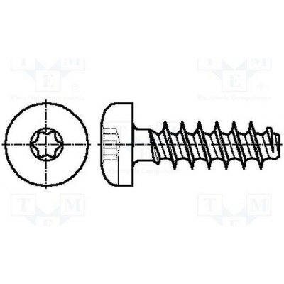 BOSSARD 3060240 Vrut; pro plasty; 2x10; Hlava: válcová; Torx® PLUS; 6IP; ocel; zinek – Hledejceny.cz