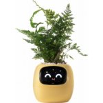 Inteligentní květináč PLANTSIO IVY žlutý – Sleviste.cz