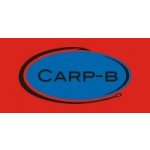 Carp-B Tekutá potrava Salmon Protein Liquid 250 ml – Hledejceny.cz