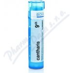 CANTHARIS POR 9CH GRA 1X4G – Hledejceny.cz