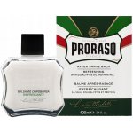 Proraso Green osvěžující balzám po holení Eucalyptus Oil and Menthol 100 ml – Zbozi.Blesk.cz