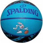 Spalding Space Jam Tune Squad Roster – Hledejceny.cz