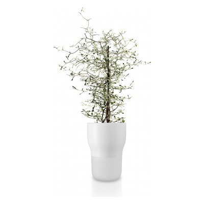 Samozavlažovací květináč na bylinky bílý 13 cm Eva Solo – Zboží Mobilmania