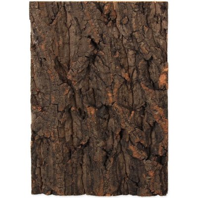 Repti Planet korkové pozadí přírodní 19 x 27,3 cm – Zboží Dáma