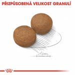 Royal Canin Maxi Adult 2 x 15 kg – Zboží Mobilmania