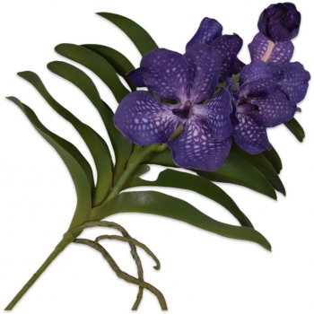 Orchidej (phalaenopsis) s listem Vanda modrá/fialová V42 cm