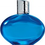 Elizabeth Arden Mediterranean parfémovaná voda dámská 100 ml – Sleviste.cz