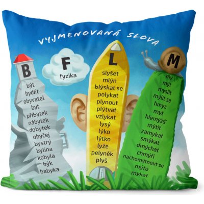 Impar Polštář Vyjmenovaná slova 40x40 – Sleviste.cz