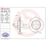 Brzdový kotouč BREMBO 09.A919.10
