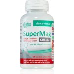 Astina SuperMag B6 chelat 100 kapslí – Hledejceny.cz